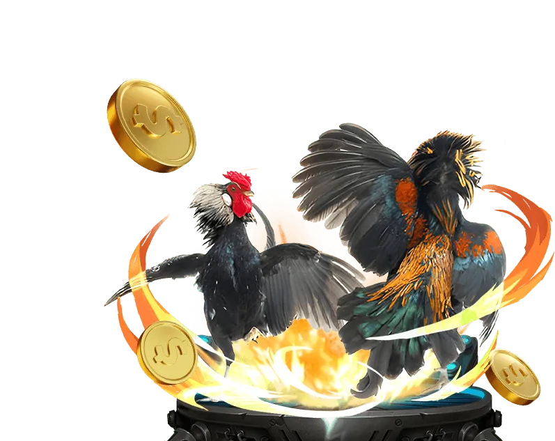 Hình ảnh minh họa chiến lược xóc đĩa cơ bản và quản lý vốn