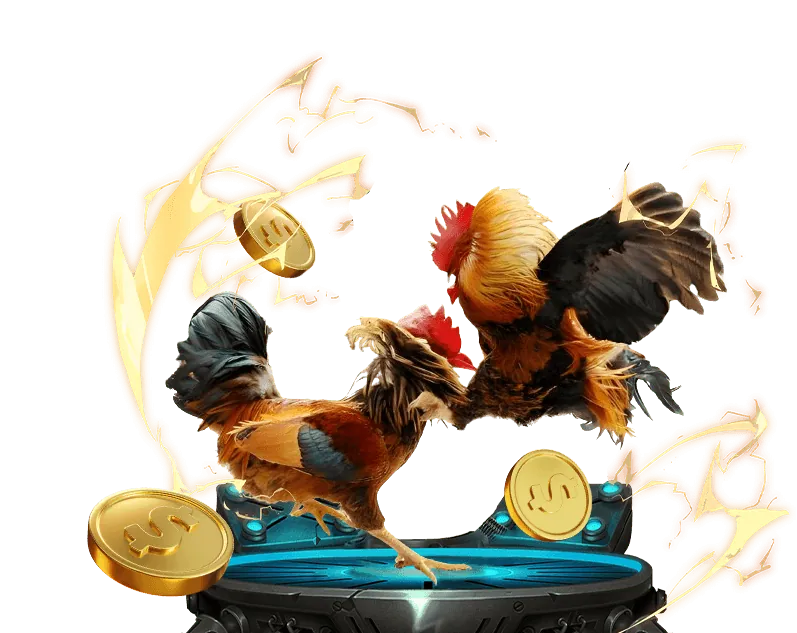 Biểu đồ phân tích kết quả xóc đĩa và chiến lược cược